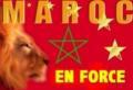 l force